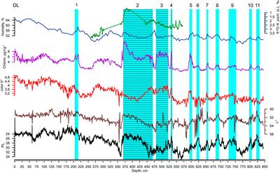 Timing and Mechanisms of the Formation of the Dark Layers in the Sea of Japan During the Last 40 kyr